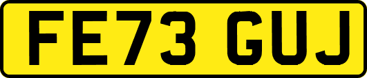 FE73GUJ