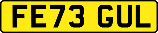 FE73GUL