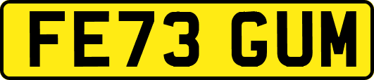 FE73GUM