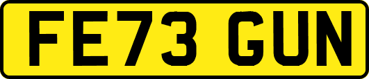 FE73GUN