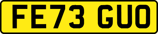 FE73GUO