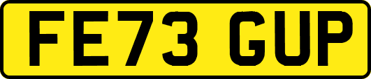 FE73GUP