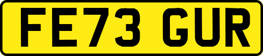 FE73GUR