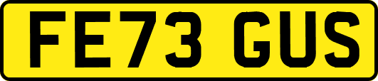 FE73GUS