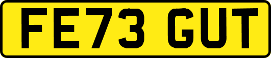 FE73GUT