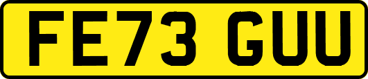 FE73GUU