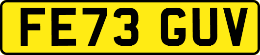 FE73GUV