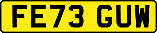 FE73GUW