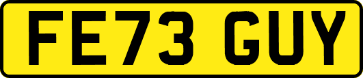 FE73GUY