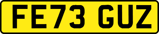 FE73GUZ