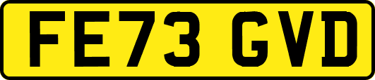 FE73GVD