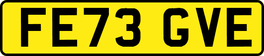 FE73GVE