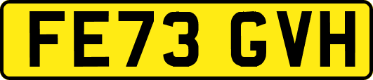 FE73GVH