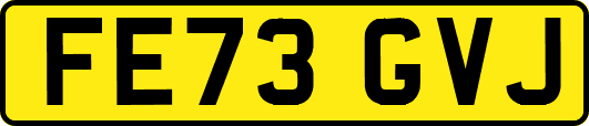 FE73GVJ