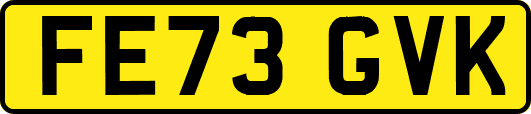 FE73GVK