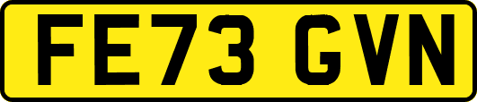 FE73GVN