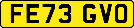 FE73GVO
