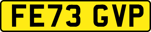 FE73GVP