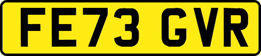 FE73GVR
