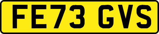 FE73GVS