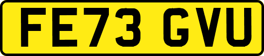 FE73GVU