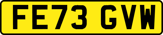 FE73GVW