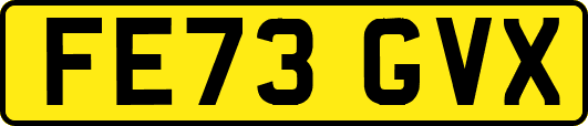 FE73GVX