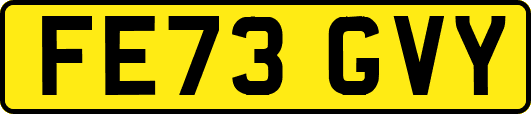 FE73GVY