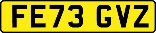 FE73GVZ