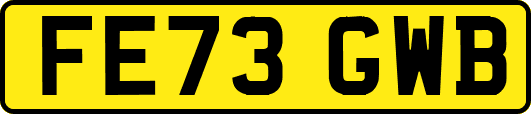 FE73GWB