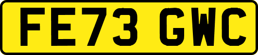 FE73GWC