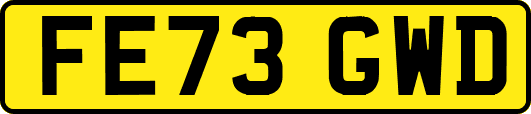 FE73GWD