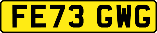 FE73GWG