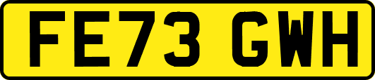 FE73GWH