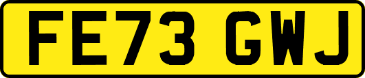 FE73GWJ