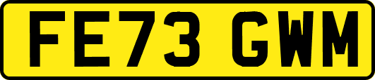 FE73GWM