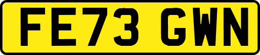 FE73GWN