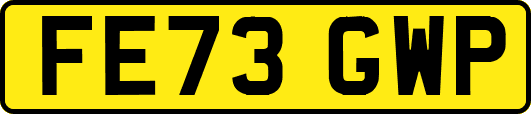 FE73GWP