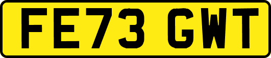 FE73GWT