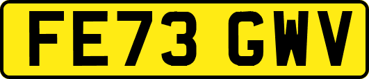 FE73GWV