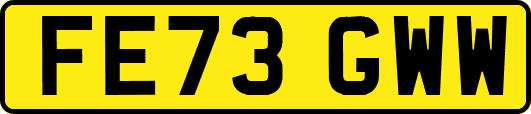 FE73GWW