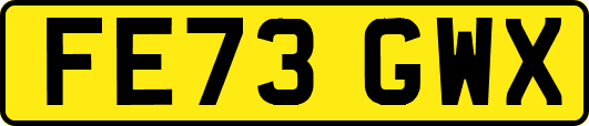 FE73GWX