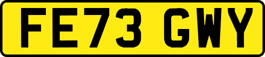 FE73GWY