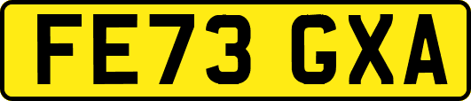 FE73GXA