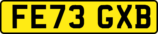 FE73GXB