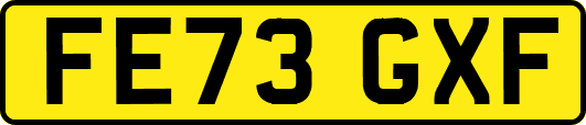 FE73GXF