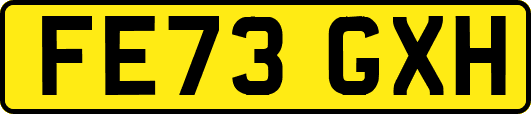 FE73GXH