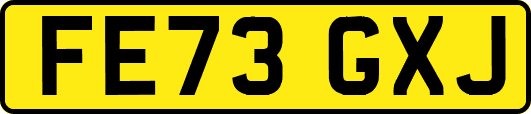 FE73GXJ
