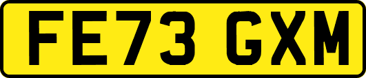 FE73GXM