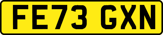 FE73GXN